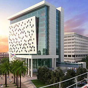 Architects International